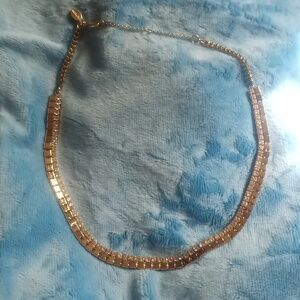 Express gold toned necklace new without tags